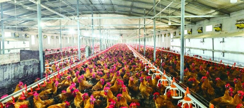 涪陵解码“1+2+X”产业方程式