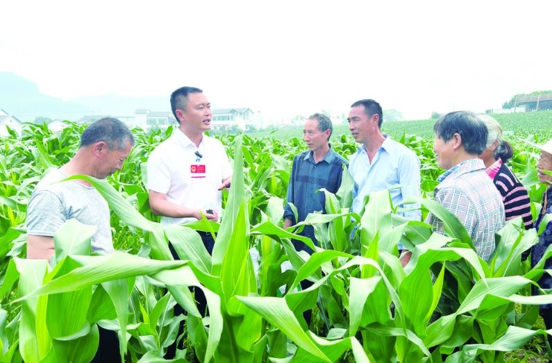 涪陵创新推出“人大代表履职项目化” 激发代表工作“新活力”