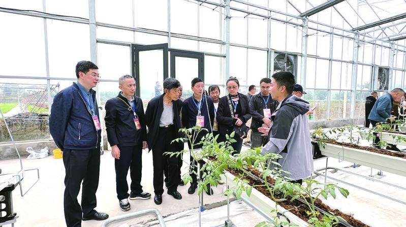 人大代表多元履职 精准服务民生需求与产业升级