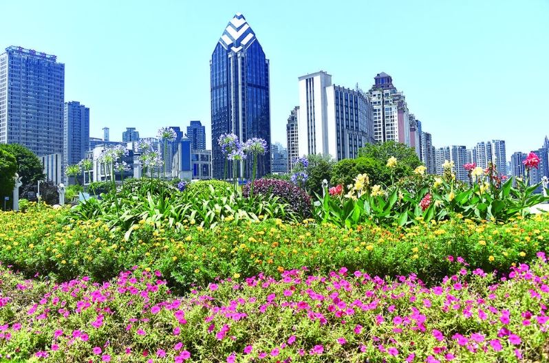 生态治理见成效 涪陵“颜值”持续提升