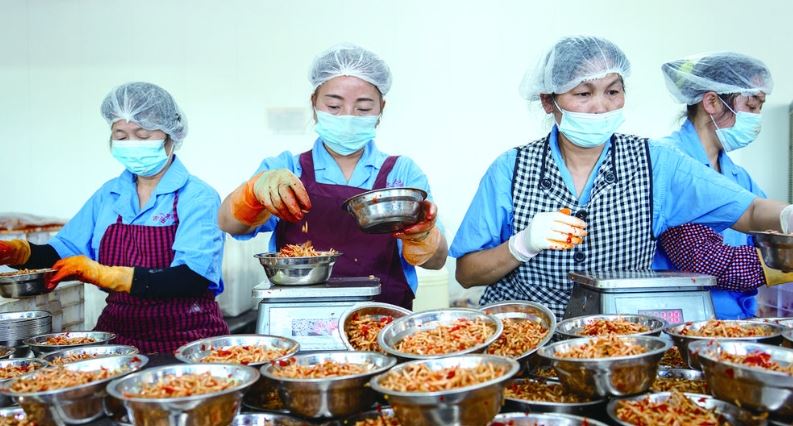 麻辣折耳根“爆单”后的72小时