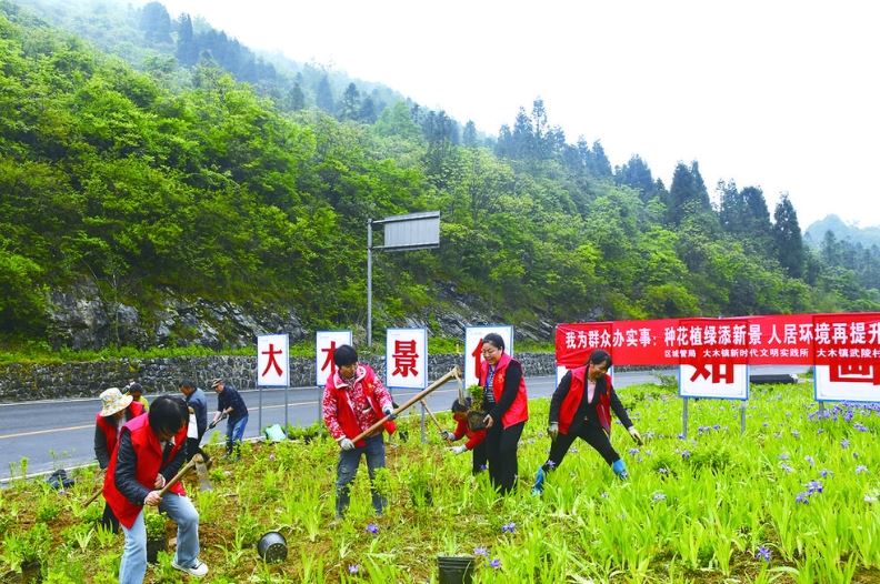 “暑”你会玩！大木开启“花漾模式”迎客