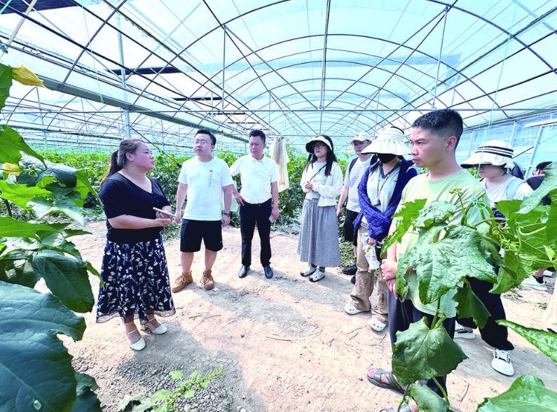 高校学子“智”汇巴渝 勾勒“坪上田园”生态振兴蓝图