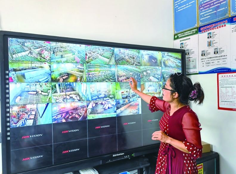 模糊视界里的豁亮人生