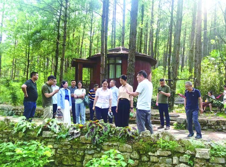 政协委员调研提案办理工作 助推涪陵文旅融合发展