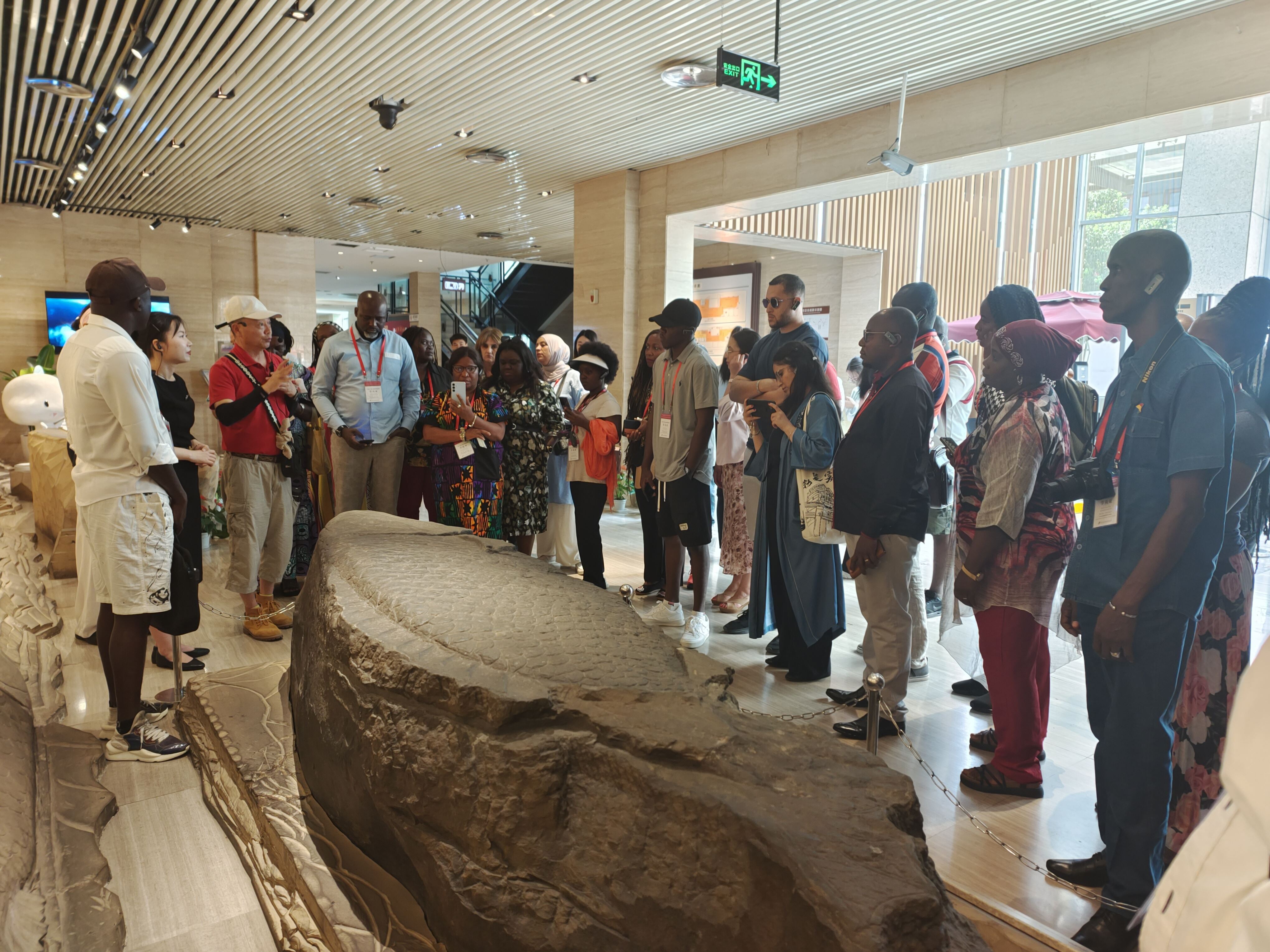 非洲法语国家非遗研修班走进涪陵 共话文化保护与交流