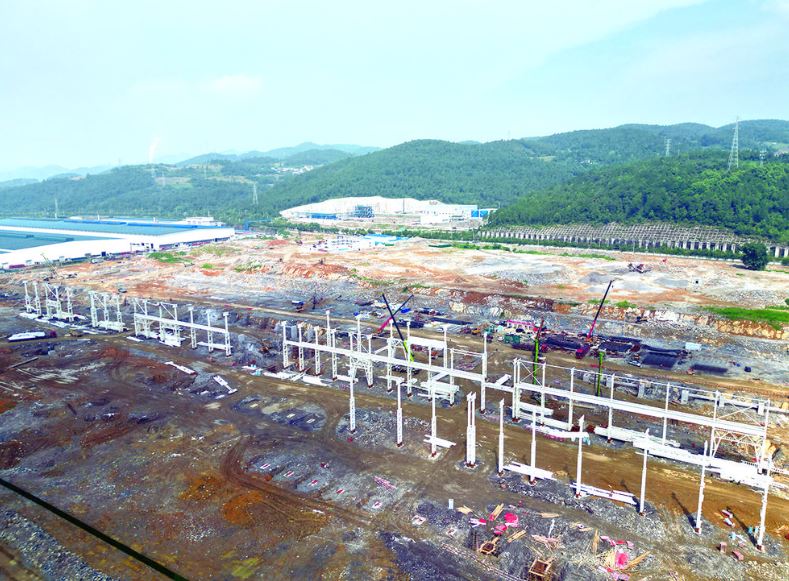 白涛园区集团:“服到位”推动项目建设“加速度”