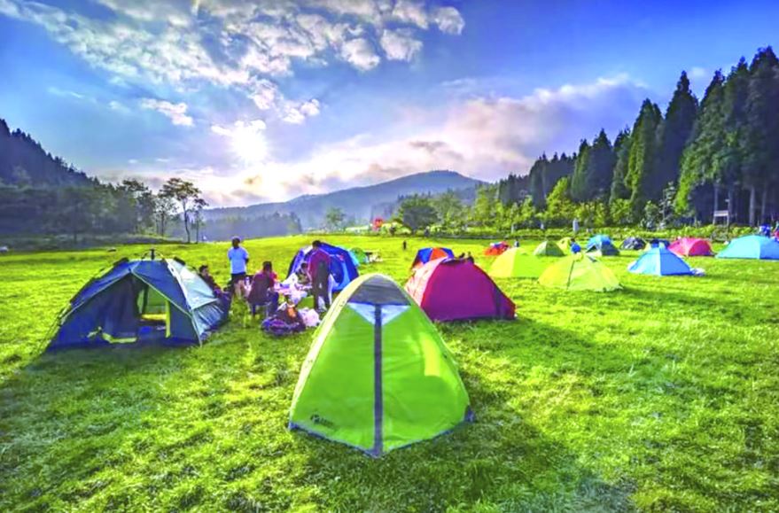 “清凉武陵·浪漫大木”宣传片闪耀重庆江北机场 强力引爆暑期避暑游