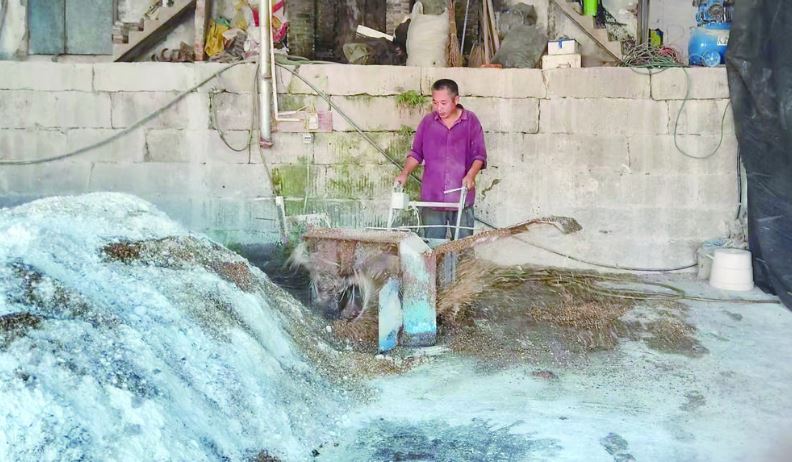 涪陵“菇勇者”:从负债10万到共富领路人