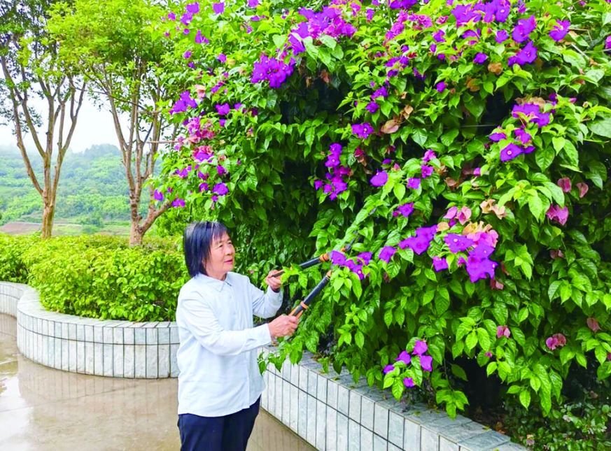 青砖黛瓦筑家梦 一院清风传家风