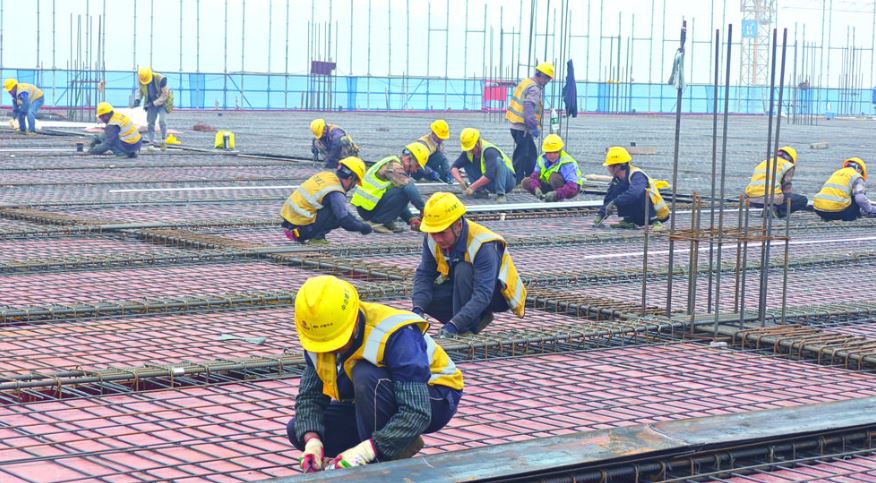 “绿色+”“科创+”双轮驱动  乌江涪陵榨菜新基地预计明年年底投产