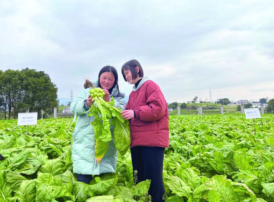沈进娟：科技赋能榨菜产业 坚守传承华人乡愁