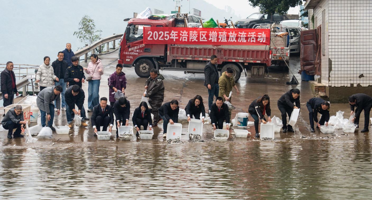 涪陵区开展渔业增殖放流活动  53.32万尾鱼苗回归长江母亲河