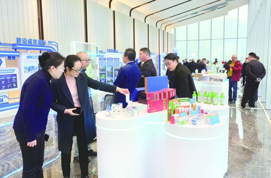 涪陵全景展区实力“出圈” 立体矩阵彰显“双城”动能