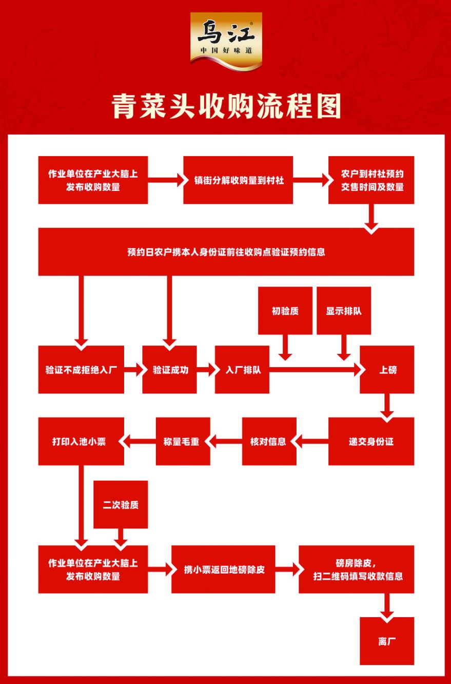 董奕锋专题调研青菜头收储有关工作 主动担当作为 确保收储工作安全有序