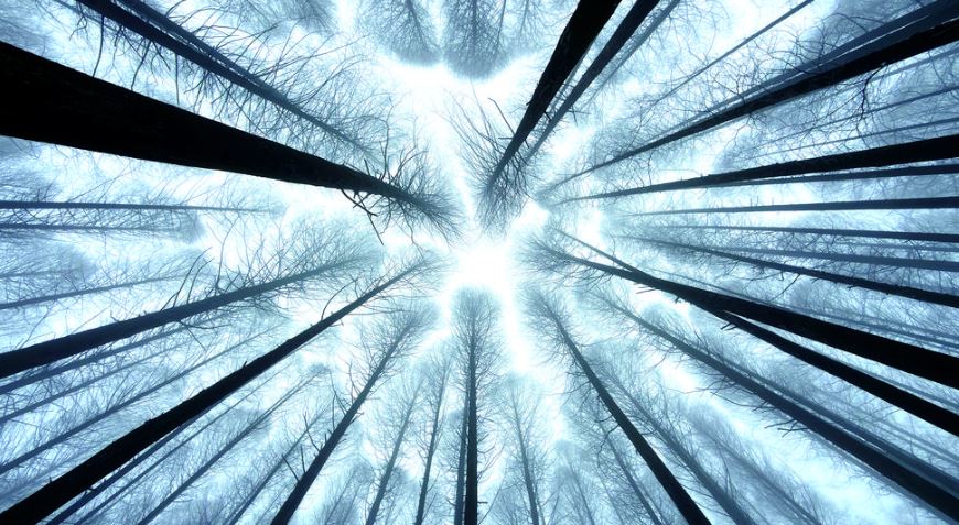 涪陵：银装素裹美如画