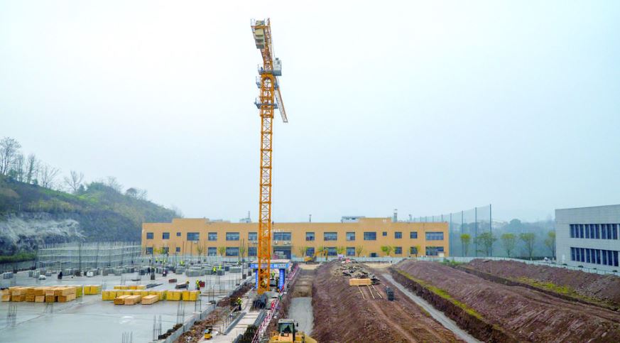 年产一点二亿只 涪陵这个绿色项目预计八月完工